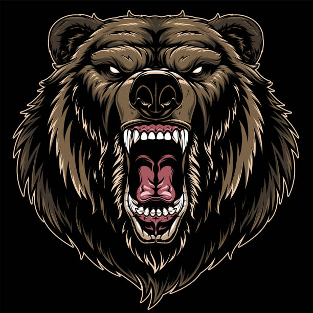 Head of a ferocious grizzly bear, Vector illustration, head of a ferocious grizzly bear, on a black background bear growling stock illustrations