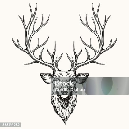 istock Head of Deer 868144282