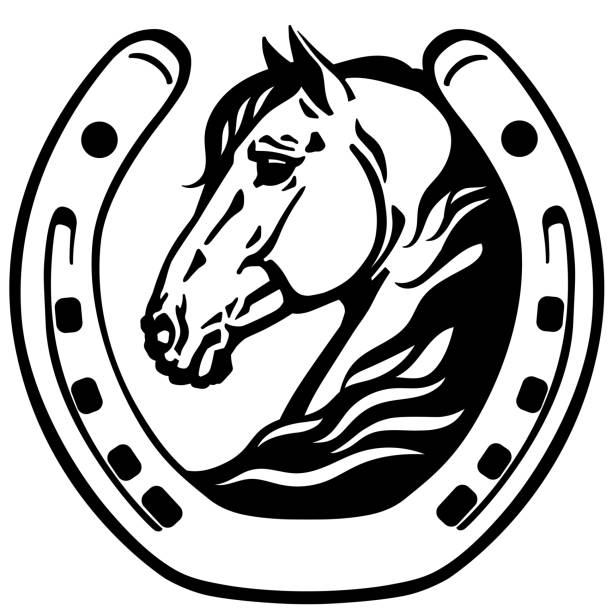 head of horse in the horseshoe horse head in the horseshoe.. icon, emblem. Black and white vector horseshoe stock illustrations