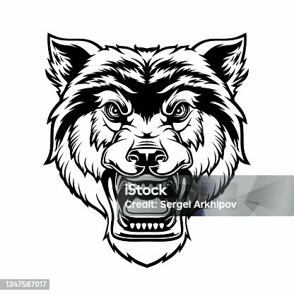 istock Head of roaring gray wolf. 1347587017