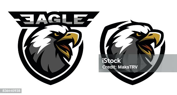 istock Head of the eagle, sport icon. Two versions. 836445938