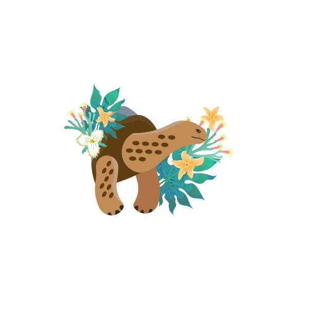 kopfporträt der galapagos-schildkröte für unterschiedliche designs und tattoo. cartoon-stil ikone der niedlichen tiergesicht mit tropischen blättern, blumen. - galápagos stock-grafiken, -clipart, -cartoons und -symbole