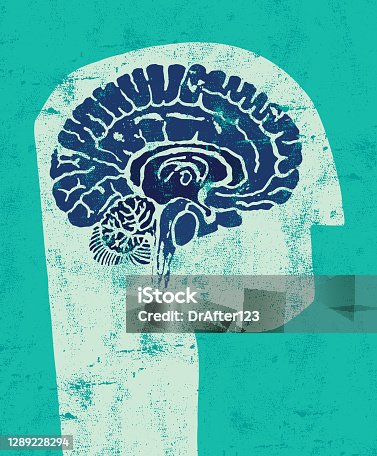 istock Head With Brain Cross Section 1289228294