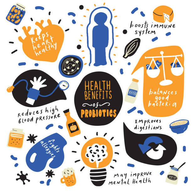 ilustrações de stock, clip art, desenhos animados e ícones de health benefits of probiotics. hand drawn infographic poster. vector. doodles. - alimentos sistema imunitário