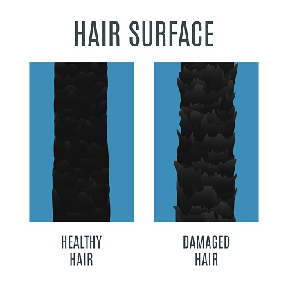 Healthy and damaged hair surface