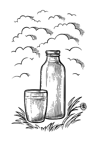 healthy Breakfast drawing sketch glass milk bottle cup vector
