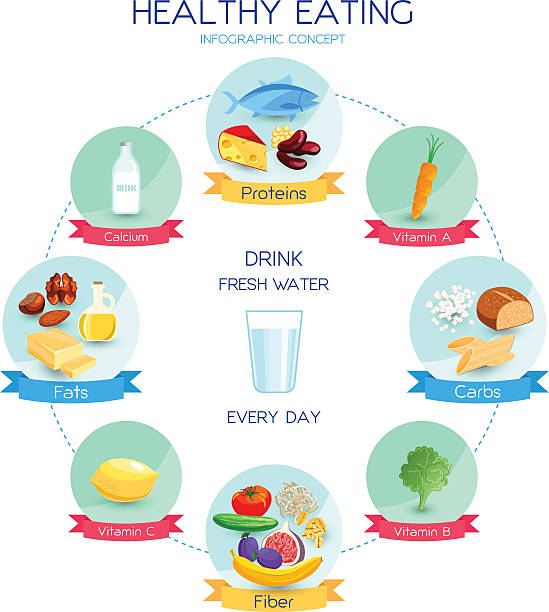 Healthy eating concept Vector infographics healthy eating concept, daily nutrition system, proteins carbohydrates and fats based diet, balanced eating illustration dietary fiber stock illustrations