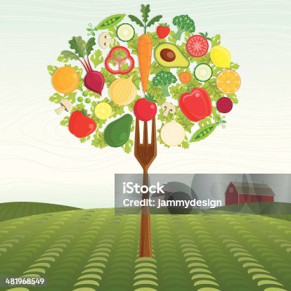istock Healthy Harvest 481968549