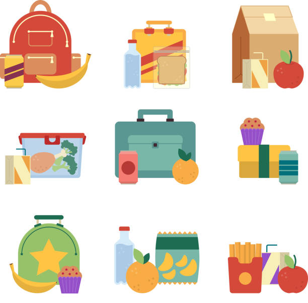 Healthy lunch in plastic box. Lunchbox for kids. Vector illustration set isolate on white background Healthy lunch in plastic box. Lunchbox for kids. Vector illustration set isolate on white background. Lunch box with drink and sandwich lunch box stock illustrations