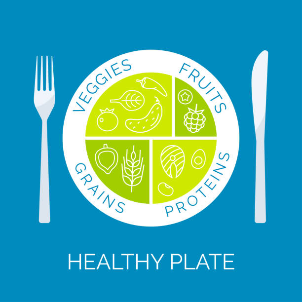 ilustrações de stock, clip art, desenhos animados e ícones de healthy plate concept - food chart healthy