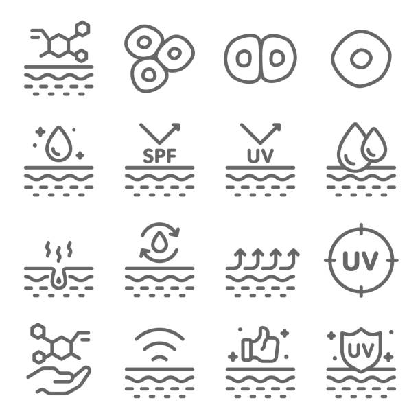 Healthy Skin icons set vector illustration. Contains such icon as Skin Care, UV Protection, Cell, Dry Skin and more. Expanded Stroke Healthy Skin icons set vector illustration. Contains such icon as Skin Care, UV Protection, Cell, Dry Skin and more. Expanded Stroke ultraviolet light stock illustrations