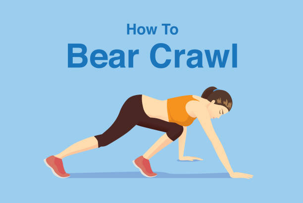 gesunde frau tun bear crawl übung. - pilates methode stock-grafiken, -clipart, -cartoons und -symbole