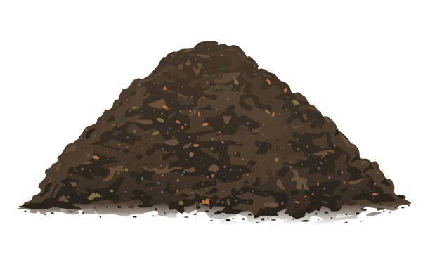 Heap of organic compost ground isolated One big brown heap of organic compost in side view isolated illustration, fertile soil for growing garden crops, composting process of fallen leaves, transformation of food waste into fertile soil soil stock illustrations
