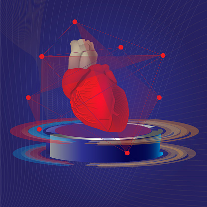 heart modeling  for cardiology and science