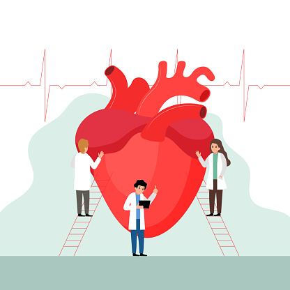 Heart research or diagnotic concept. Doctors examining the heart. Flat style. Vector illustration.