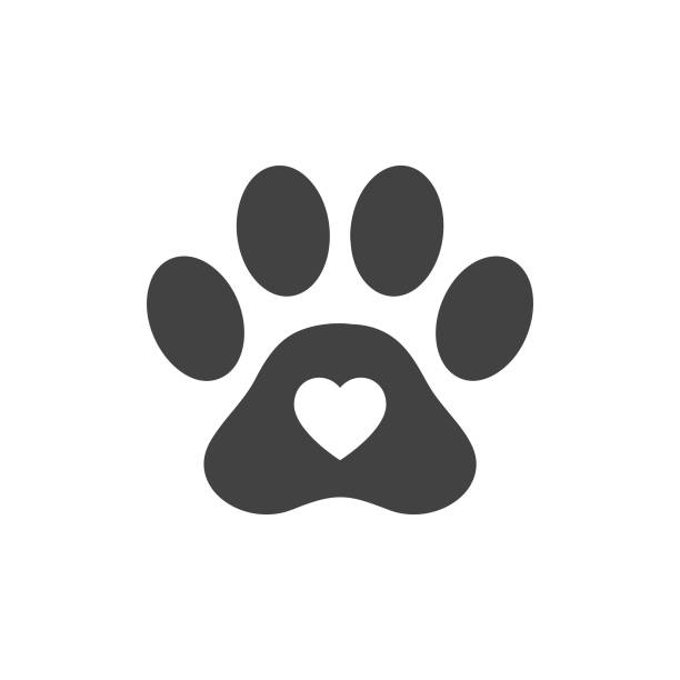 心臟形狀或愛情符號在動物爪列印為寵物護理圖示概念向量插圖。 - dog 幅插畫檔、美工圖案、卡通及圖標