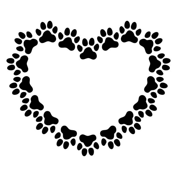 Heart shaped frame made of paw prints Heart shaped frame made of paw prints. Frame for your pet's portrait. Vector illustration. dog borders stock illustrations
