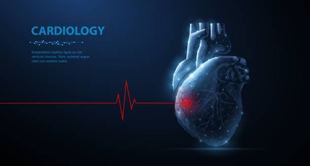 Heart. Abstract 3d vector human heart isolated on blue. Red cardio puls line. Anatomy, cardiology medicine, organ health, medical science, life healthcare, illness concept illustration or background heart image stock illustrations