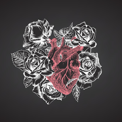 Heart with bouquet roses on chalkboard Realistic hand-drawn icon of human internal organ and flower frame. Sketch Engraving style Medical post-viral rehabilitation design concept. Tattoos art