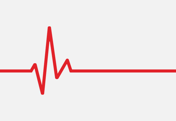 ikon garis detak jantung terisolasi pada latar belakang putih. ilustrasi vektor. - pengukur denyut nadi ilustrasi stok