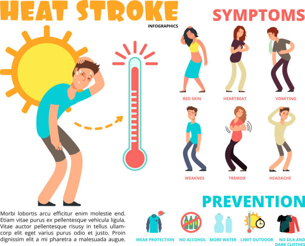 Heat stroke and summer sunstroke risk, symptom and prevention vector infographics Heat stroke and summer sunstroke risk, symptom and prevention vector infographics. Sunstroke and infographic heatstroke, symptom and temperature illustration exhaustion stock illustrations