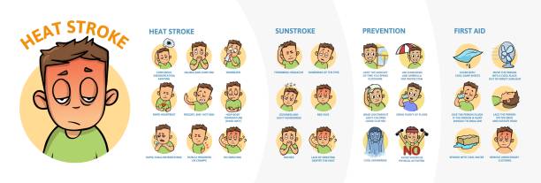 Heat stroke and sunstroke infographics. Signs, symptoms, and prvention. Information poster with text and character. Flat vector illustration on white background, horizontal. Heat stroke and sunstroke infographics. Signs, symptoms, and prvention. Information poster with text and character. Colorful flat vector illustration on white background, horizontal. exhaustion stock illustrations