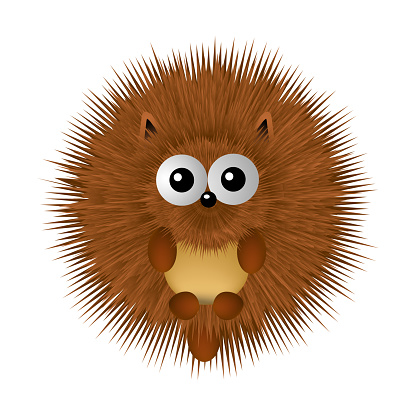 hedgehog illustration