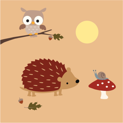 Hedgehog Meets A Snail