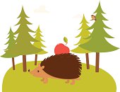 Cute hedgehog with apple on spruce tree forest background.