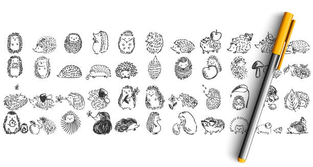 Hedgehogs doolde set Hedgehogs doolde set. Collection of pencil pen ink hand drawn sketches templates patterns of forest prickly animal isolated in line. Autumn symbol and wildlife nature illustration. hedgehog stock illustrations