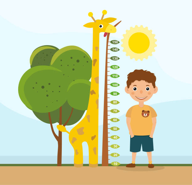 Height comparison between a giraffe and boy Height comparison between a cute colorful giraffe and young boy standing alongside a tree with measurement scale, colored cartoon vector illustration tall boy stock illustrations