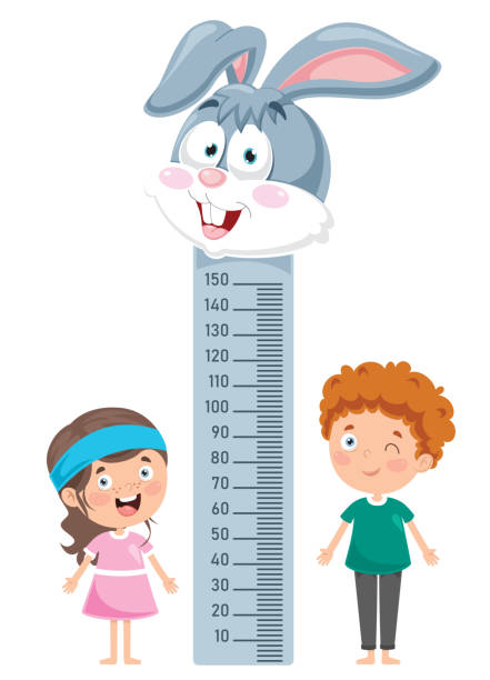 ilustrações de stock, clip art, desenhos animados e ícones de height measure for little children - doctor wall