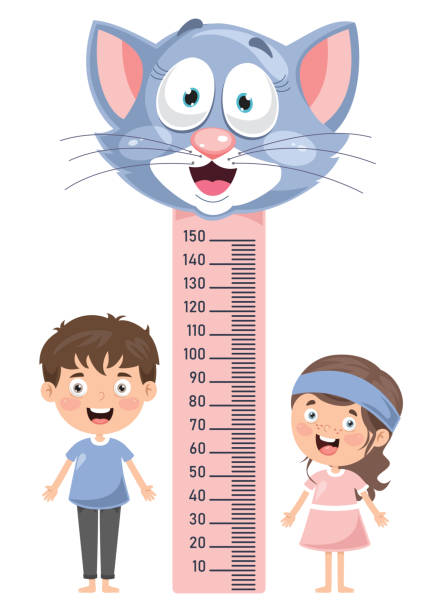 ilustrações de stock, clip art, desenhos animados e ícones de height measure for little children - doctor wall