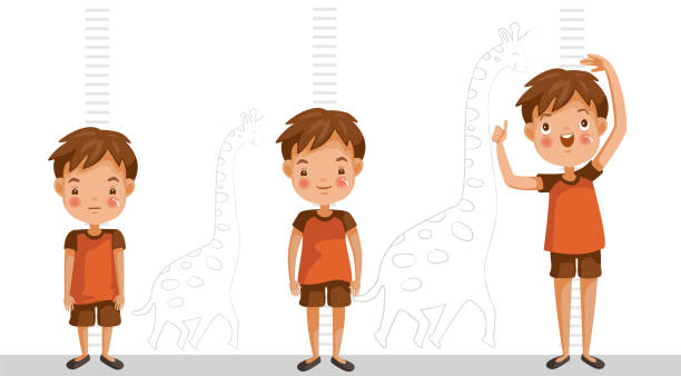 Height of child Height of child grow up. Little boy measuring his height on white color background. One boy in three levels. Short, medium, high,Height. difference child growth concepts. tall boy stock illustrations