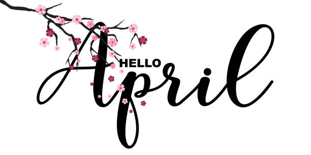 Hello April, spring related motivational quote, isolated on white background, vector illustration. Handwritten letters, Japanese sakura branch, little cute flowers falling. Hello April, calligraphy letters motivational quote, isolated on white background, vector illustration. Handwritten letters, Japanese sakura branch, little cute flowers falling. april stock illustrations