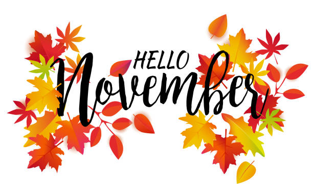 Hello November vector Hello November vector. Autumn leaves and text on white background. november stock illustrations