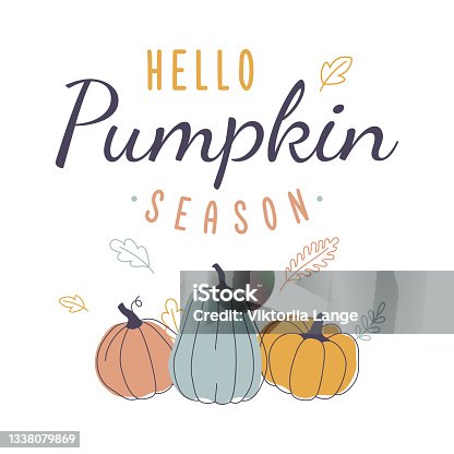 istock Hello Pumpkin Season. Retro autumn design with text, pumpkins and leaves. Vector fall season illustration. 1338079869