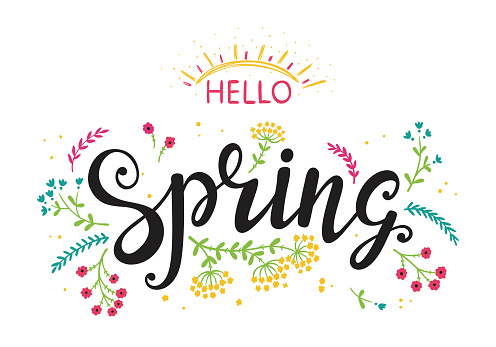 Hello Spring. Hand drawn lettering poster with flowers and sun. Invitation or greeting card with Wildflowers