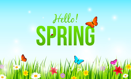 " Hello! Spring " on beautiful spring meadows background. Green grass with flowers and butterfly vector illustration.