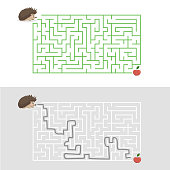Help the hedgehog find the way to apple. Maze game with solution. Cute cartoon character. Vector illustration. EPS10 + JPEG preview.
