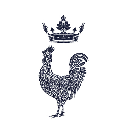 Hen or chicken with Crown hand drawn with contour lines on white background. Elegant monochrome drawing of domestic farm poultry bird. illustration in vintage woodcut, engraving or etching style. Vector illustration vector