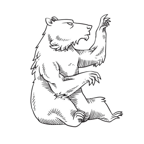 геральдический медведь сидит и смотрит вправо, монохромный стиль - right to ...