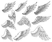 Heraldic wings set. Vintage birds wings. Set of design elements in coloring style.