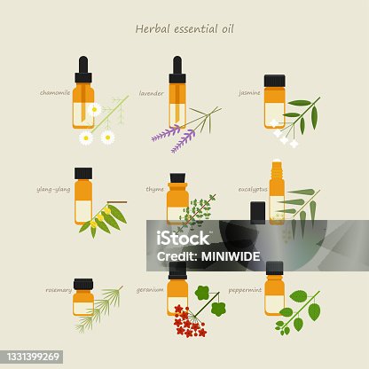 istock Herbal essential oil leaf and bottle 1331399269