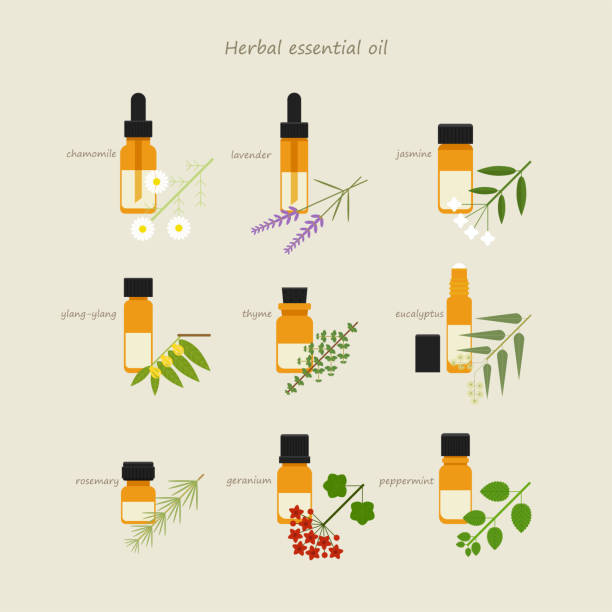 Herbal essential oil leaf and bottle vector art illustration