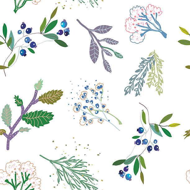 Herbal medicine plants seamless pattern vector art illustration
