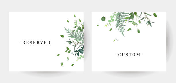 Herbal minimalist vector grenery watercolor wedding frames Herbal minimalist vector frames. Hand painted plants, branches, leaves on a white background. Greenery wedding simple invitation template. Watercolor style card. All elements are isolated and editable fern stock illustrations