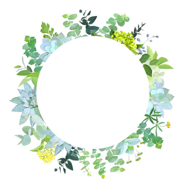 Herbal mix vector round frame. Herbal mix vector round frame. Hand painted plants, branches, leaves, succulents and flowers on white background. Echeveria, eucalyptus,green hygrangea, brunia.Natural card.Isolated and editable flowerbed illustrations stock illustrations