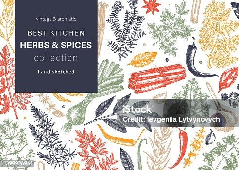 istock Herbs and spices vector banner 1399926961