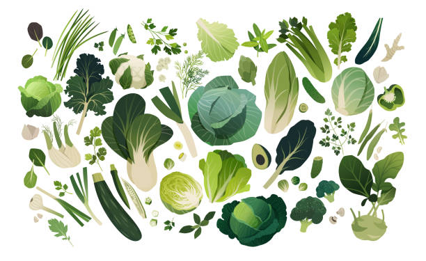 Herbs and vegetables pattern Isolated herbs and vegetables managed into pattern, leafy greens template background lettuce stock illustrations